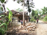 13704IMG_3965.JPG