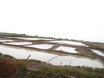 15759IMG_4848.JPG