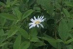 57864IMG_9503.JPG