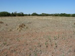 39312GUTH20110914GPS.JPG