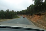 28368P1010379-1.JPG