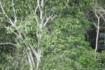 2024-10-10_17-18-10_0CB916D5-7E06-4869-92D1-B778049CD12F.jpeg