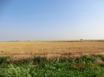 29906CIMG1475.JPG