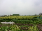 51787CIMG0020.JPG