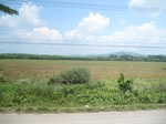 33670IMG_5874.JPG
