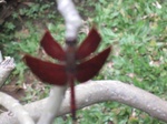 16588IMG_5375.JPG