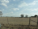 35561DSC02061.JPG
