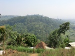 30573CIMG0364.JPG