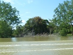54712Bulungan (208).JPG