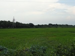 24681DSC00905.JPG
