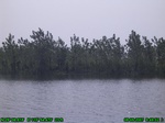 1360R0015129_tag.jpg