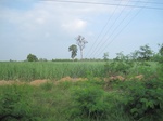 34466IMG_5449.JPG