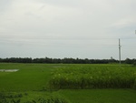 22041DSC00164.JPG