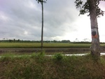 31318CIMG1180.JPG