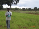 123990105b-rainfed-agriculture-mixed-crop-sorghum-millet.gif