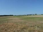 39258P1070714.JPG
