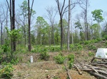 17420100_2106.JPG
