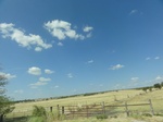 35192DSC02397.JPG