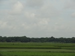 21991DSC00102.JPG