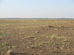36725CIMG0494.JPG