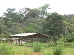 48704CIMG5041.JPG