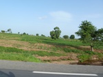19381P1010228.JPG