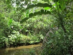 29557IMG_5200.JPG