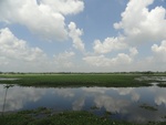24636DSC00855.JPG