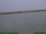 1652R0015275_tag.jpg