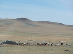 22479P1010640.JPG