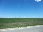 29991CIMG0678.JPG