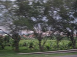 13399IMG_3762.JPG