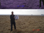 10808gt-011-wetland-seasonal-floodplain-02.jpg