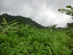 45506CIMG2591.JPG