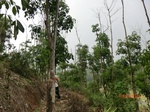 53337CIMG6622.JPG