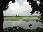 24552DSC00754.JPG