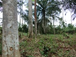46159CIMG0448.JPG