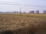 3220R0017254.JPG