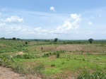 19597P1010444.JPG