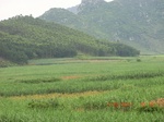 34749CIMG2577.JPG