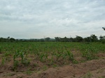 18409P1000245.JPG