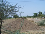 1764322042008(23).JPG