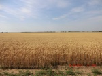29704CIMG1003.JPG