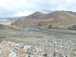 22884P1020139.JPG