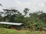 49289CIMG5626.JPG