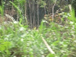 48776CIMG5113.JPG