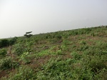 50426CIMG1055.JPG
