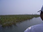 642R0015150.jpg