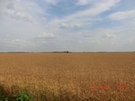 29475CIMG0774.JPG