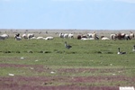 26816IMG_3196.JPG